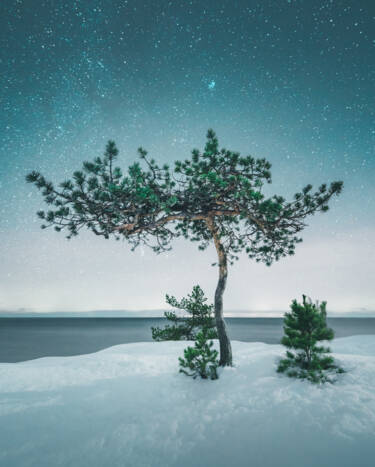 Mikko Lagerstedt's images for Nikon magazine