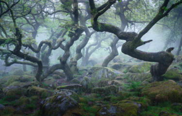 Nigel Danson images for Nikon magazine