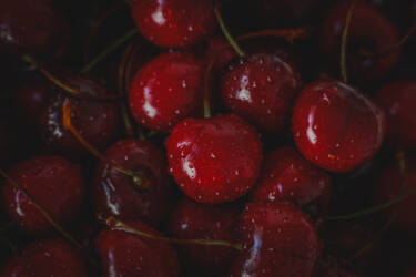 Nikon magazine - Solli Kanini with the NIKKOR Z 28-135mm f/4 PZ