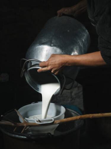 Nikon magazine - Nikon film and photo contest 2024-2025