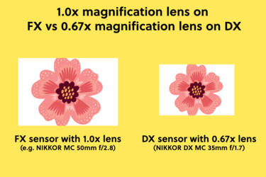 nikon magazine - magnification