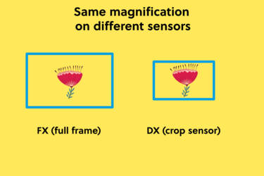 nikon magazine - magnification